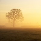 Sunrise In March